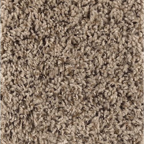 Healy Heights Frieze Carpet