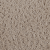 Lasting Outlook Pattern Carpet